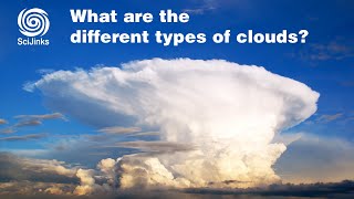 What Are the Different Types of Clouds [upl. by Tevlev]