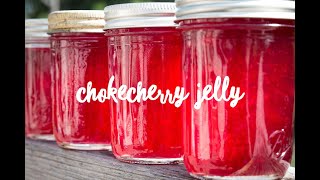 Chokecherry Jelly [upl. by Ellehcal]