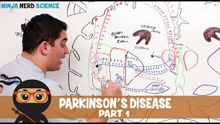 Diagnosing Parkinsons disease  Nervous system diseases  NCLEXRN  Khan Academy [upl. by Porty872]