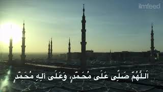 Habibi Ya Rasulullah Tamer Hosny LYRICS BEST SONG [upl. by Isidore]