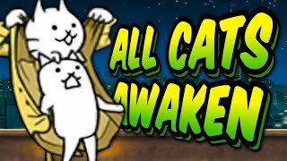 SO MANY TRUE FORMS  Awakens Specials Stages  Battle Cats 27 [upl. by Sidran]