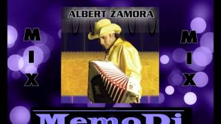 Albert Zamora Tejano mix [upl. by Martynne]