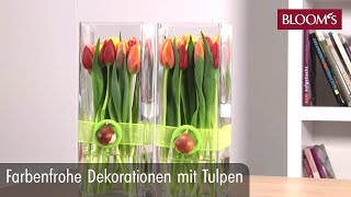 Farbenfrohe Deko mit Tulpen  DIY Frühlingsdeko  spring decoration  BLOOM’s Floristik [upl. by Ahtanaram]