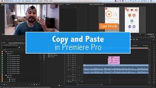 Copy and Paste in Premiere Pro [upl. by Boonie]