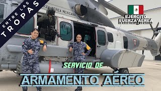 quotEntre las Tropasquot Día del Servicio de Armamento Aéreo [upl. by Arick]