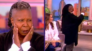 Whoopi Goldberg HALTS The View to SCOLD Audience Member [upl. by Delp]