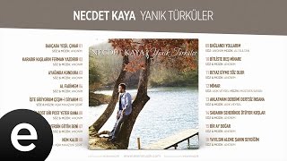 Al Fadimem Necdet Kaya Official Audio alfadimem necdetkaya  Esen Müzik [upl. by Jonis]