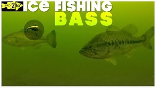 How to Ice Fish Largemouth Bass with Rattle Baits [upl. by Goldshell]