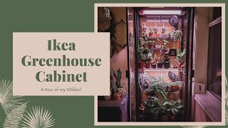 IKEA Greenhouse Cabinet Tour Milsbo Edition [upl. by Revlis561]