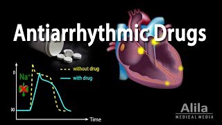 Antiarrhythmic Drugs Animation [upl. by Okime]