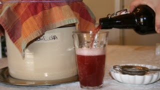 How to Make Fizzy Kombucha at Home [upl. by Elwood]