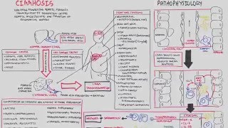 GI Imaging  Hepatic Steatosis and Cirrhosis [upl. by Golub]