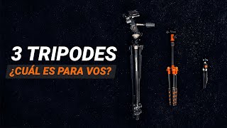 3 Tripodes para Fotografia  Cuál tripode comprar [upl. by Nirag]