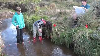 How to Measure Stream Flow [upl. by Cherrita]