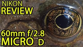 REVIEW Nikon 60mm f28 quotMicroquot Macro D Lens  a FANTASTIC Value [upl. by Pavior]