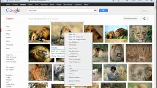 How to Copy and Paste Pictures from Google [upl. by Ainimre]