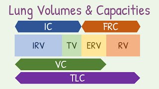 Lung Nodules basics for patients [upl. by Ecinaj]