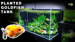 How To Planted Goldfish Aquarium Tutorial  The Ranchu Crew [upl. by Otrebliw]