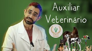 Tudo sobre o curso de AUXILIAR VETERINÁRIO [upl. by Fabiolas]