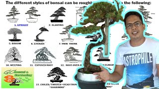 The different Styles of Bonsai Explained Beginners Guide [upl. by Aisor460]