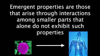 11 Emergent Properties [upl. by Featherstone138]