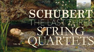 Schubert The Last Three String Quartets [upl. by Auhesoj676]