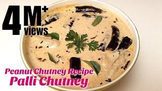 Palli Chutney  Peanut Chutney Recipe  How to make Chutney  Hyderabadi Ruchulu [upl. by Vilberg]