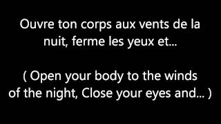 Garou amp Céline Dion  Sous le vent LYRICS  TRANSLATION [upl. by Kalagher]