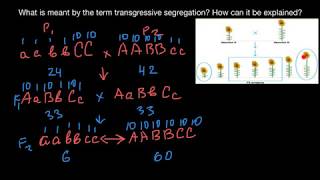 What is transgressive segregation [upl. by Llyrat]