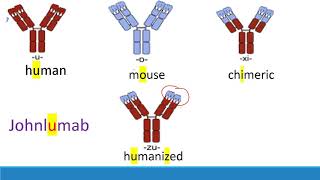 USMLE Step 1 How to memorize monoclonal antibodies [upl. by Nylzor]