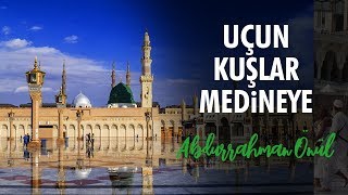 Uçun Kuşlar Medineye  Abdurrahman Önül  İlahiler [upl. by Tnert79]