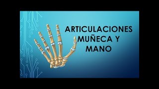 Articulaciones muñeca y mano [upl. by Hayden]