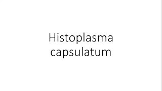 Histoplasma capsulatum  Microbiology [upl. by Irep]