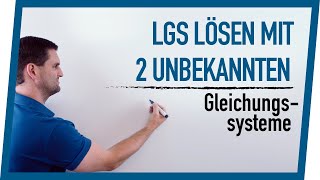 LGS lösen mit 2 Unbekannten  Mathe by Daniel Jung [upl. by Ehc]