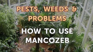 How to Use Mancozeb [upl. by Ydroj958]