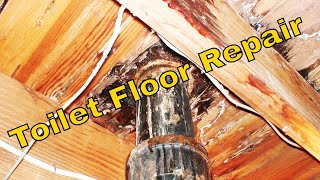 Toilet Flange And Floor Repair [upl. by Aralk]