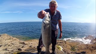 Bass Lure Fishing from the Rocks  Twitching Weedless Lures Worked [upl. by Bounds]