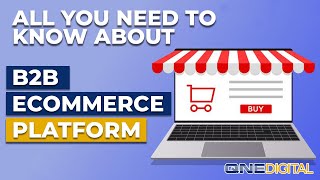 What is B2B eCommerce PlatformCustomer Portal [upl. by Bernete]