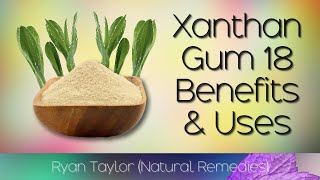 Xanthan Gum Benefits and Uses [upl. by Caraviello]