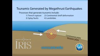 Tsunamis Generated by Megathrust Earthquakes [upl. by Goebel]