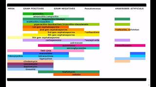 Antibiotic Coverage Made Easy  USMLE  COMLEX [upl. by Nuahsyar669]