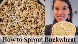 Food Plots Time to Plant Buckwheat [upl. by Soule]