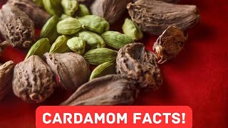 14 Fascinating Facts About Cardamom [upl. by Aay7]