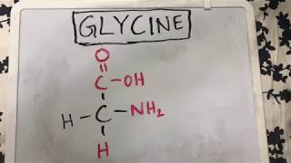 Glycine Structure  Amino Acid Basics [upl. by Yentirb]