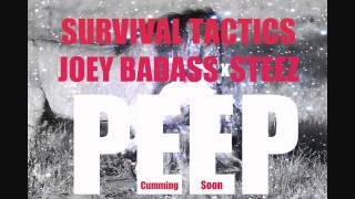 Joey BADA x Jay STEEZ  Survival Tactics [upl. by Atilrac167]