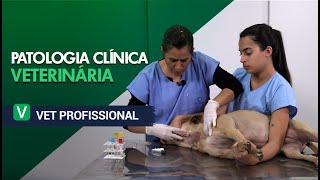 Patologia Clínica Veterinária l VET Profissional [upl. by Atteuqnas]