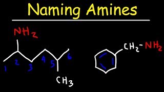 Naming Amines  IUPAC Nomenclature amp Common Names [upl. by Nealon]