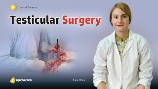 Testicular Surgery  Medical Online Education  Video Lectures  Doctors  VLearning™ [upl. by Gilemette34]