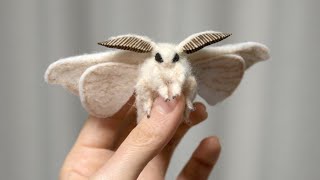 21 Most Incredible Moth Species [upl. by Ennaihs396]