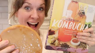 How to BREW YOUR OWN KOMBUCHA  how to MAKE KOMBUCHA at home  Kombucha Tea [upl. by Amble]